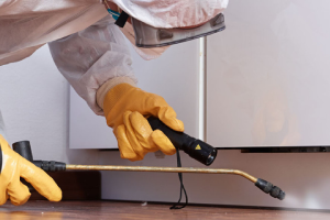 Messie Schädlingsbekämpfung Soest